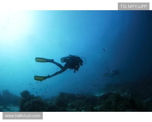 跳水运动的魅力与挑战:探索技术、心理与竞技精神的完美融合